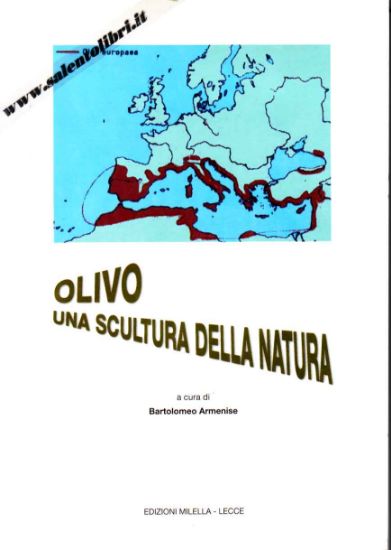 Immagine di Olivo Una scultura della natura